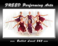 FREED- Ballet2-3-184 -1- 8x10-